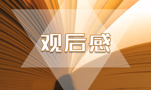 2020感動中國精選觀后感5篇大全